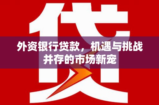 扎赉特旗外资银行贷款，机遇与挑战并存的市场新宠