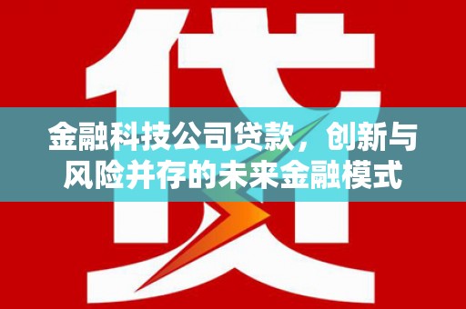 扎赉特旗金融科技公司贷款，创新与风险并存的未来金融模式