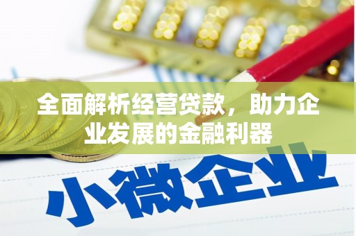 扎赉特旗全面解析经营贷款，助力企业发展的金融利器