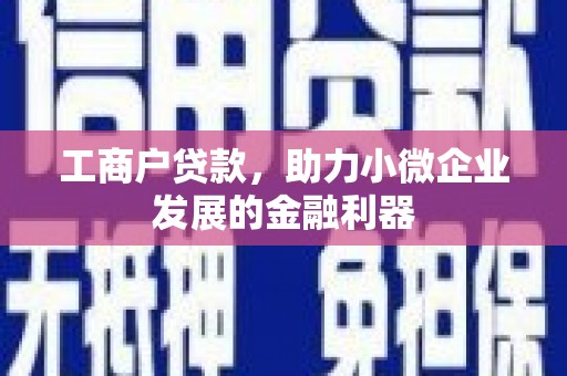 扎赉特旗工商户贷款，助力小微企业发展的金融利器