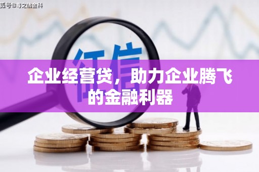 扎赉特旗企业经营贷，助力企业腾飞的金融利器