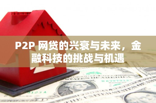 扎赉特旗P2P 网贷的兴衰与未来，金融科技的挑战与机遇