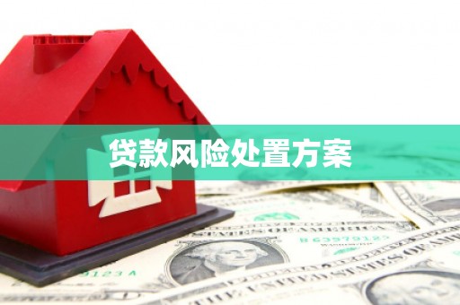 扎赉特旗贷款风险处置方案