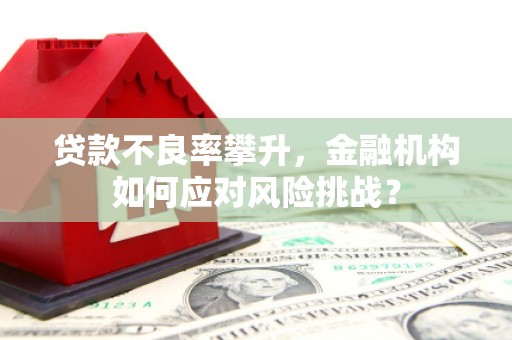 扎赉特旗贷款不良率攀升，金融机构如何应对风险挑战？
