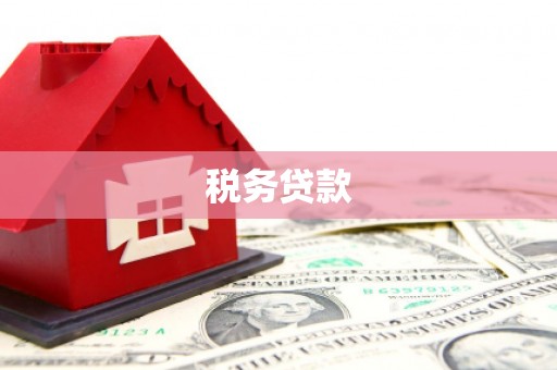 扎赉特旗税务贷款