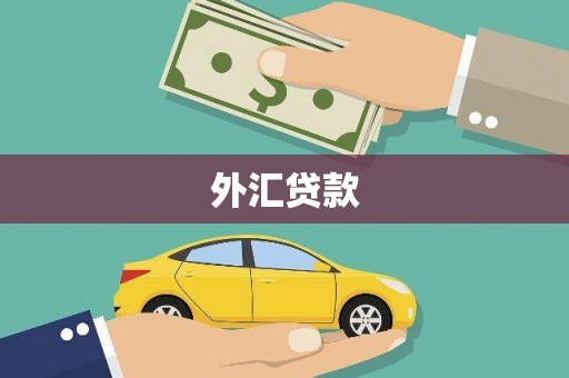 扎赉特旗外汇贷款