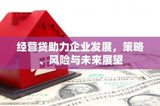 扎赉特旗经营贷助力企业发展，策略、风险与未来展望