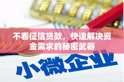 扎赉特旗不看征信贷款，快速解决资金需求的秘密武器