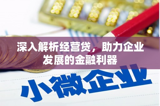 扎赉特旗深入解析经营贷，助力企业发展的金融利器