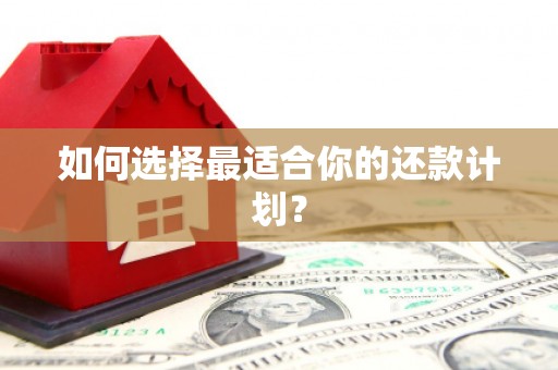 扎赉特旗如何选择最适合你的还款计划？
