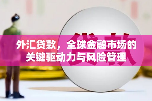 扎赉特旗外汇贷款，全球金融市场的关键驱动力与风险管理