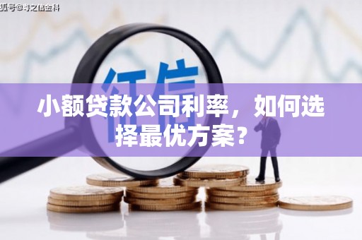 扎赉特旗小额贷款公司利率，如何选择最优方案？