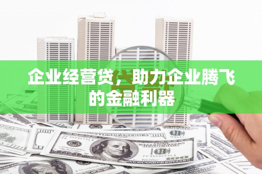 扎赉特旗企业经营贷，助力企业腾飞的金融利器