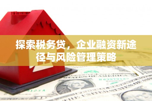 扎赉特旗探索税务贷，企业融资新途径与风险管理策略