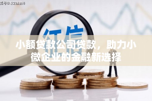 扎赉特旗小额贷款公司贷款，助力小微企业的金融新选择