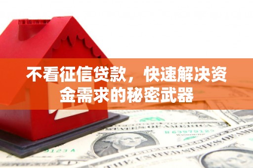 扎赉特旗不看征信贷款，快速解决资金需求的秘密武器