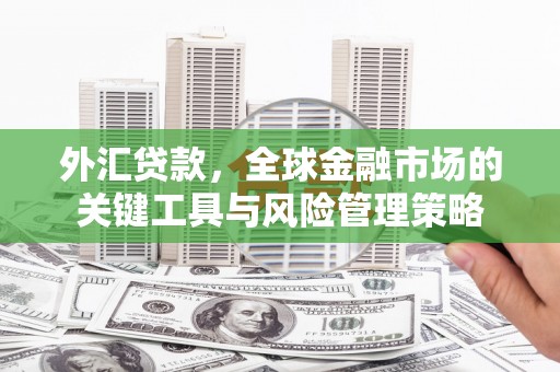 扎赉特旗外汇贷款，全球金融市场的关键工具与风险管理策略