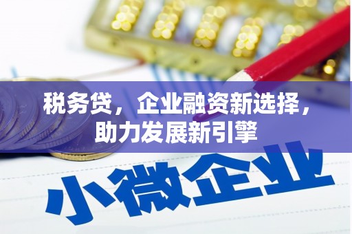 扎赉特旗税务贷，企业融资新选择，助力发展新引擎