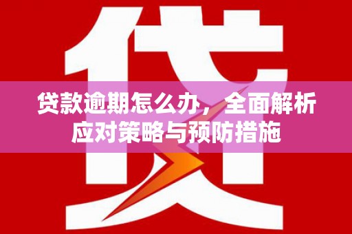 扎赉特旗贷款逾期怎么办，全面解析应对策略与预防措施