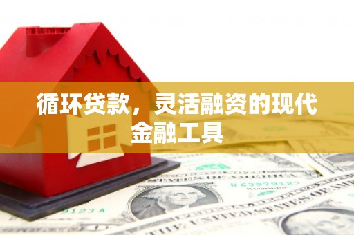 扎赉特旗循环贷款，灵活融资的现代金融工具