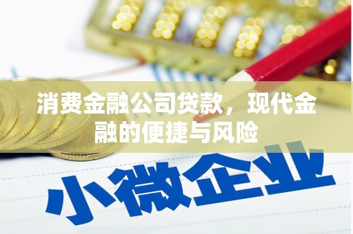 扎赉特旗消费金融公司贷款，现代金融的便捷与风险