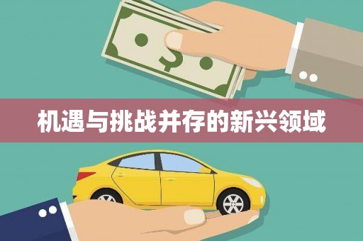 扎赉特旗机遇与挑战并存的新兴领域