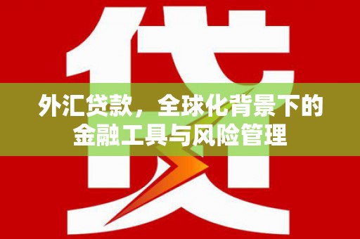 扎赉特旗外汇贷款，全球化背景下的金融工具与风险管理